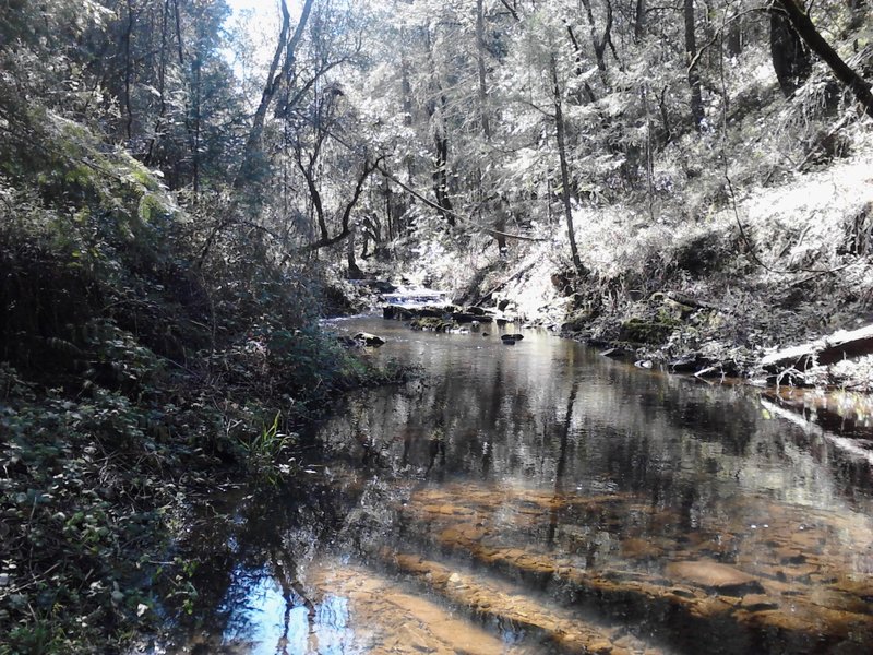 Olmstead Trail