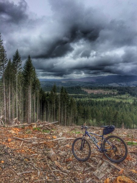 View from a clear-cut.