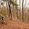 Descending the Bull Mountain trail - a great way to finish the Bull-Jake Mountain IMBA Epic.