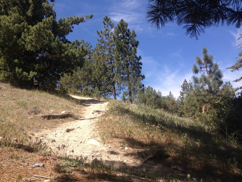 Hillyer Trail