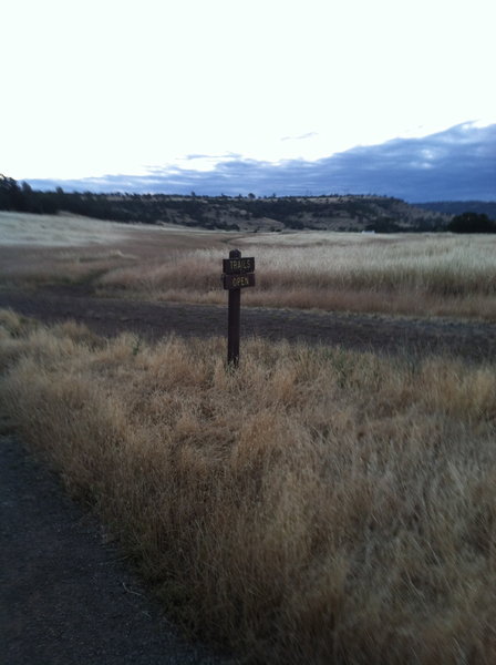 looking east from the North Rim parking lot