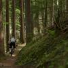 Bombing into the finish along a sun dappled trail.