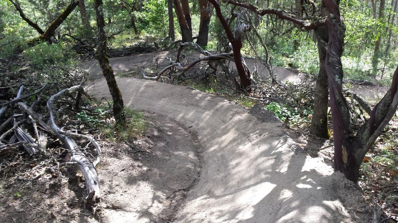 Waterline Trail