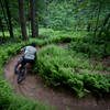 Bear's trail flow