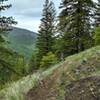 This trail has sections that have great views of the upper Beaver Creek area