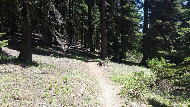 Bull Gap