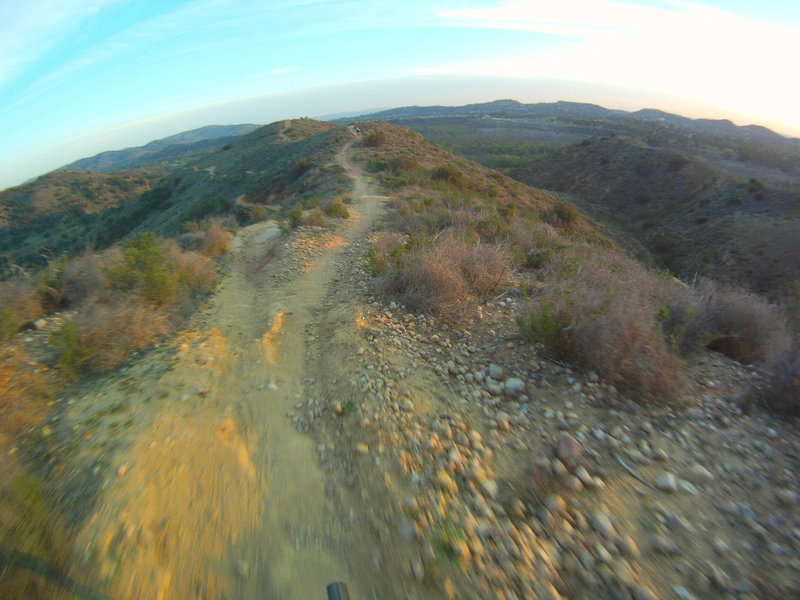Irvine Regional Park