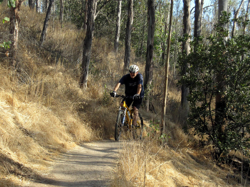 Emerging from Scout trail, a short, fun connector between the main trails.