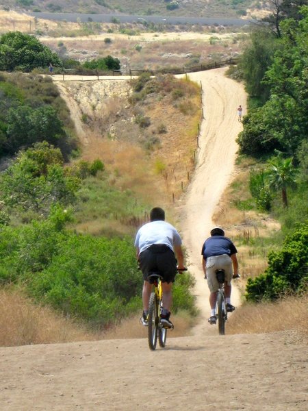 Cactus Point Trail