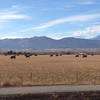 Beautiful views to the west along the Niwot trail section along 83rd St. This trail links the Niwot loop to the new section of LoBo trail towards Longmont.