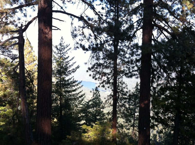 Park Ridge Loop