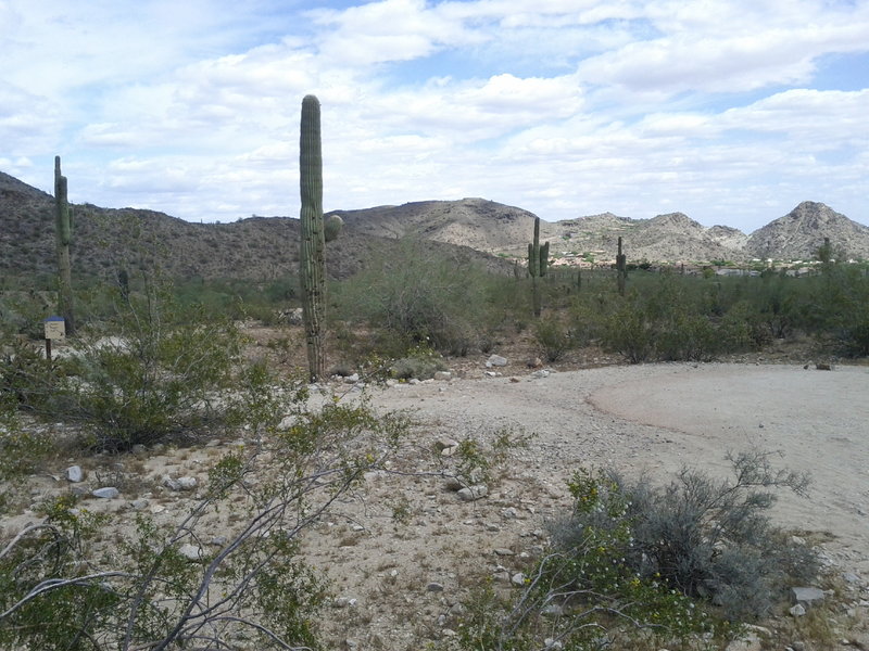 The end of the pavement, viewed from the meeting of Telegraph Pass and Desert Classic.