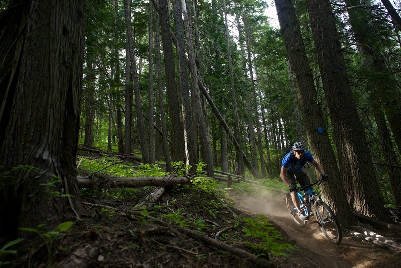 Dan during an early season run through Trail 140.