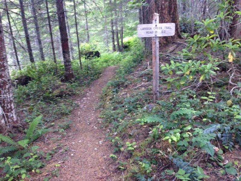 6mi to bottom.