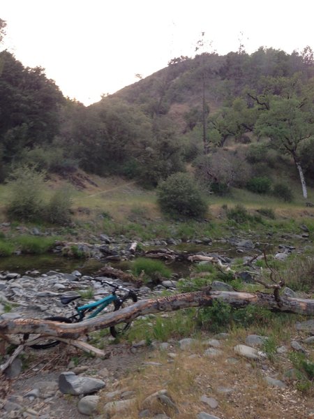 Flat Frog to Middle Ridge (Henry W. Coe State Park)