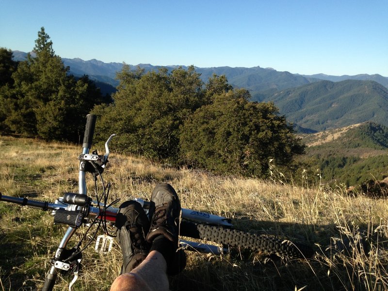 Mule Mountain Trail