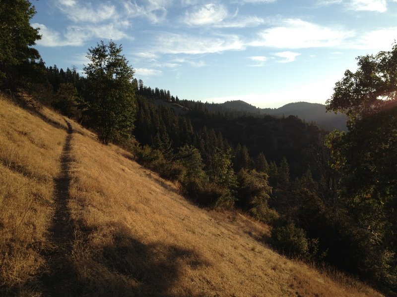 Little Grayback Trail