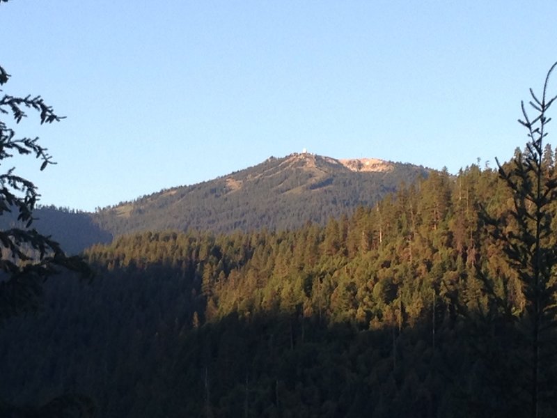 View of Mt Ashland from the Loop Road below Four Corners