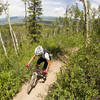 Quarry Mountain climbs to the top of Emerald Mountain through big aspens