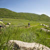 Headed up the Mad Creek Valley