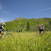 Pedaling through open meadows up the Mad Creek valley