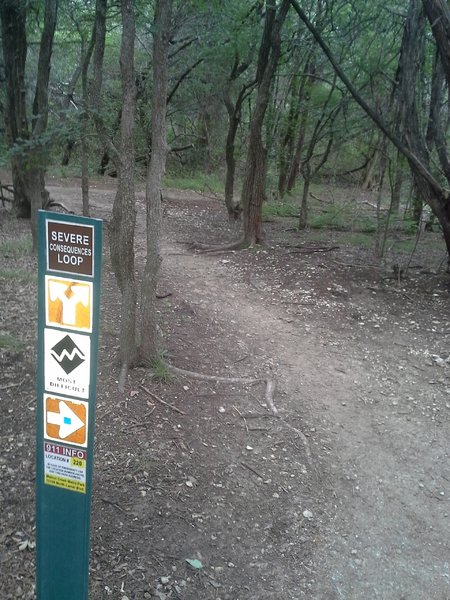 Severe Consequences Loop at the Walnut Creek Metro Park Trails