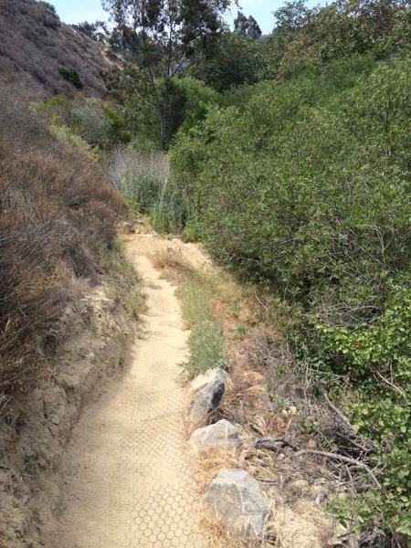 San Clemente/Rose Canyons