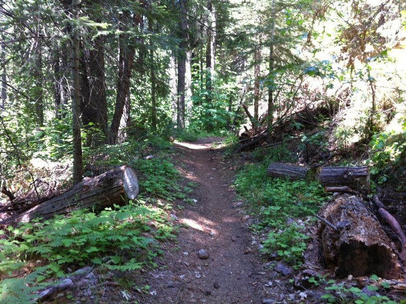 Arnold Rim Trail