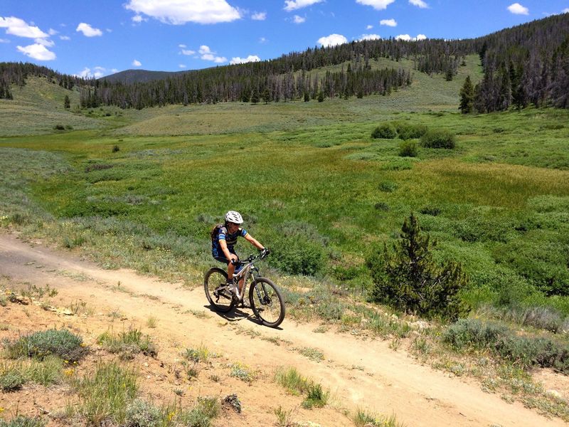 Typical meadows of Horseshoe Gulch