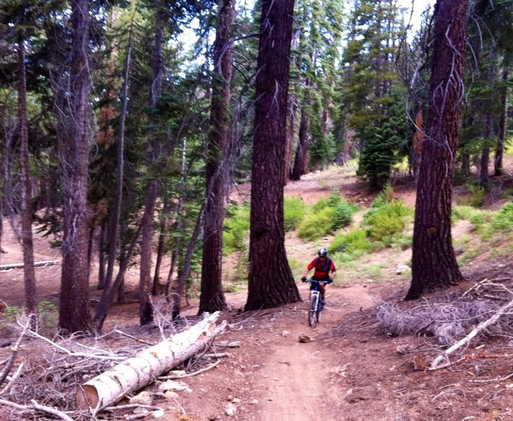 Southern Sierras, Cannell Trail can be sub 60 degrees in July at 9200 feet
