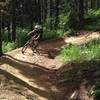 Switchback on Strange Brew