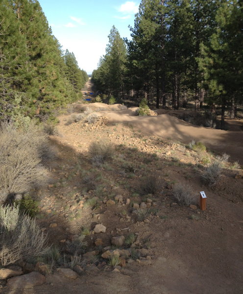 Looking back to Phil's slalom course