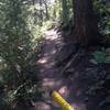 Upper portion of Hidden Valley trail