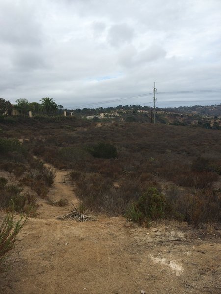 Lagoon Trail