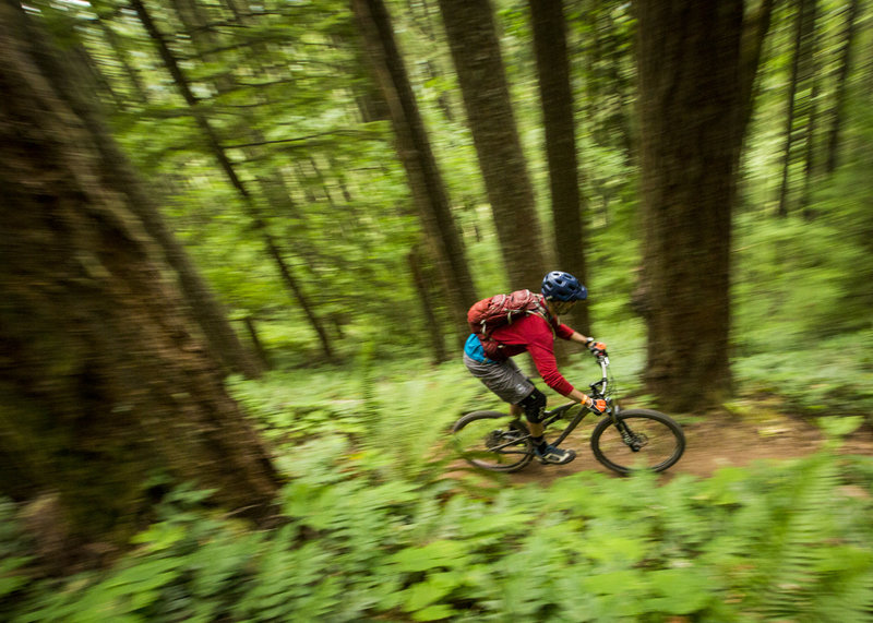 Larison Rock trail has many fast sections through the trees.