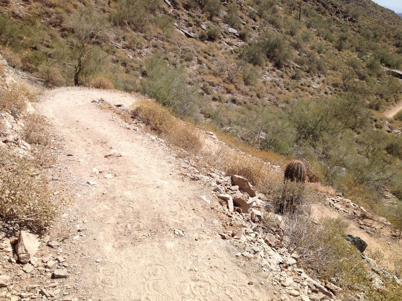 Double switchbacks on Overton Trail.