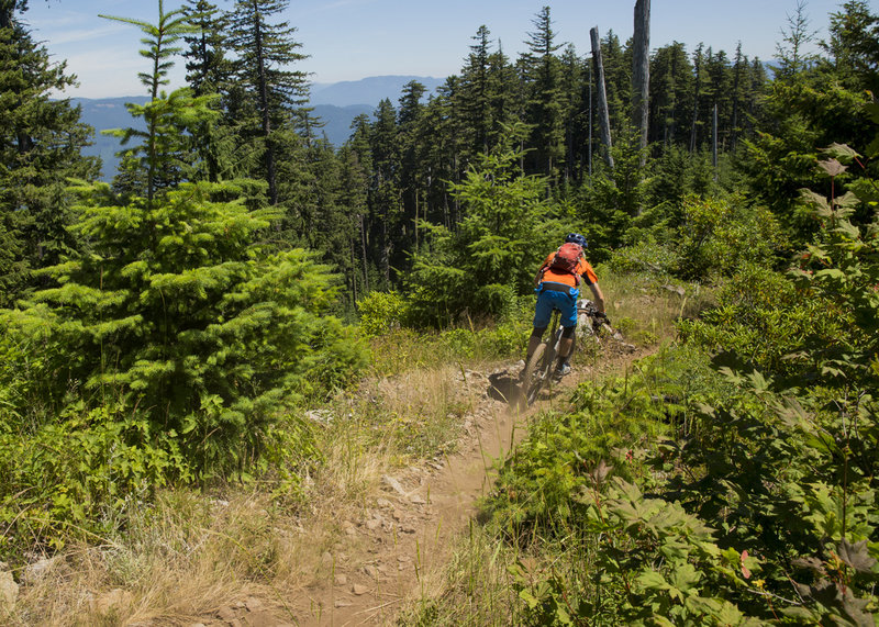 Lawler Trail #3473