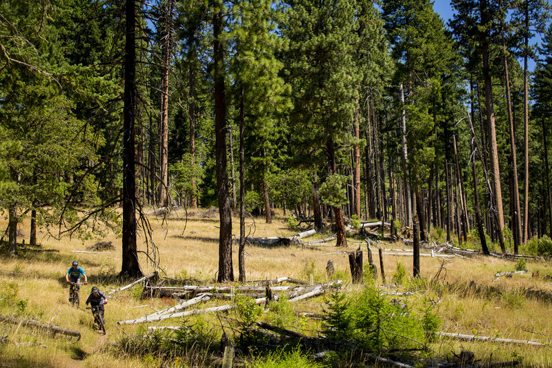 Young's Rock Trail #3685