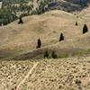 The last bit of the Castle Divide route is through open sage meadows.