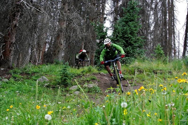 Miner's Creek Mountain Bike Trail, Creede, Colorado