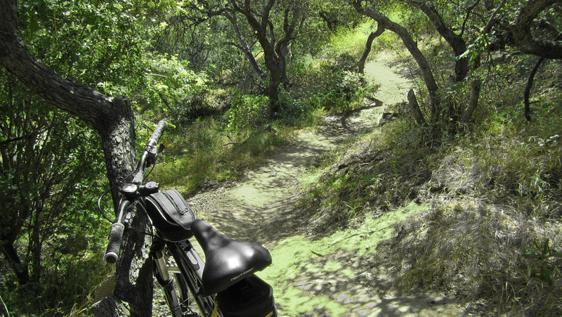 Cherry Canyon singletrack.