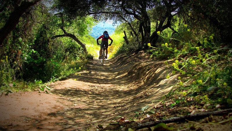 Liz's Loop Trail