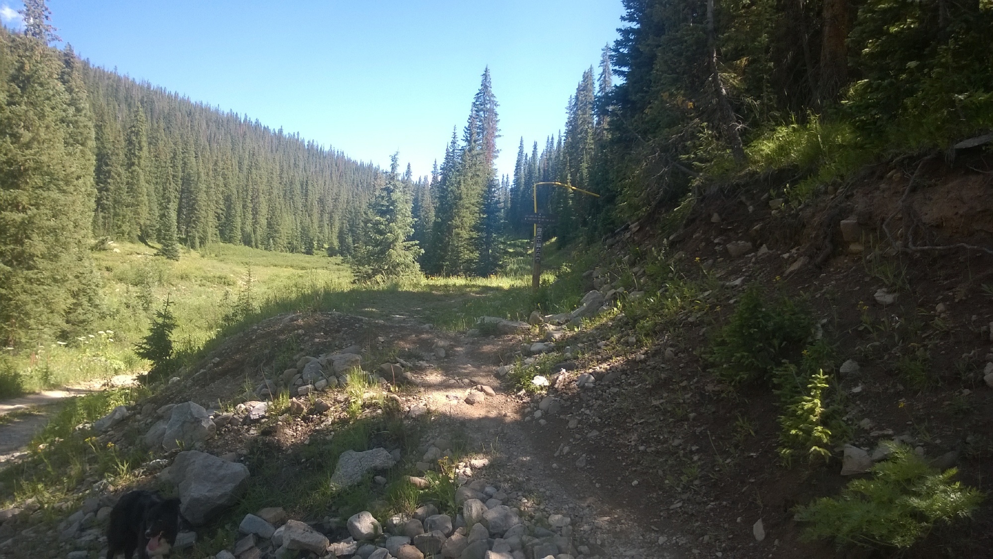The start of Lily Lake Trail