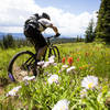Mountain View trail is surrounded by amazing vistas and full of summer wildflowers.