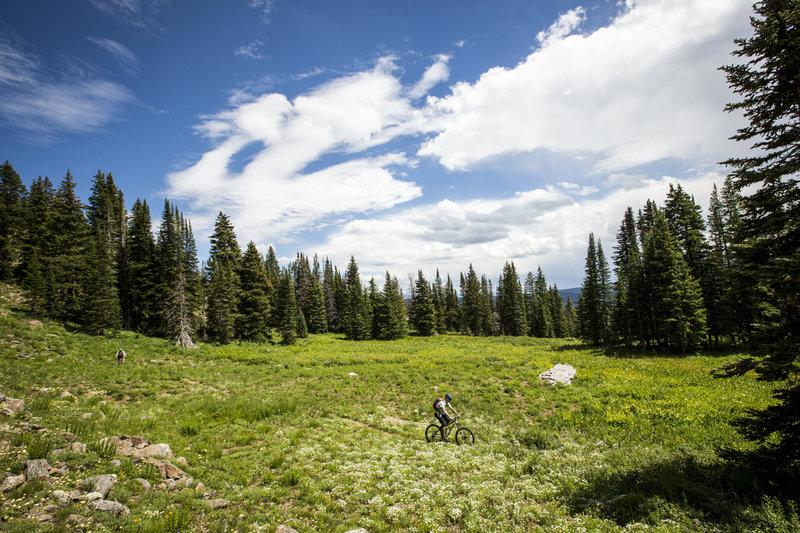 The last stretch of Mountain View trail before hitting the ski area is across a huge meadow, under big sky.