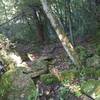 Skills section has some rocks to crawl over