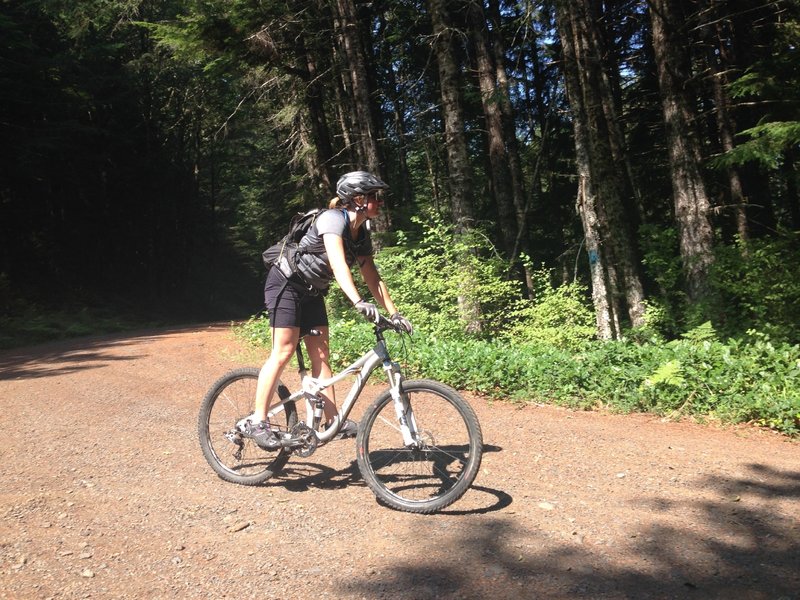 Fall Creek Road