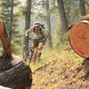 Clearing deadfall is a fact of life in the Idaho Mountains. Bring a saw!