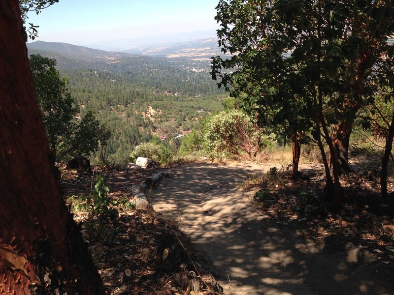 White Rabbit near the top of the switchbacks