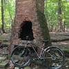 Remnants of an old cabin in the woods along the trail